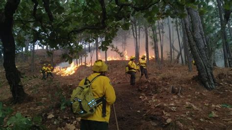 Entre los cuales los más afectados en su mayoría son pastos y. Reportan 22 incendios forestales activos en México - Proceso
