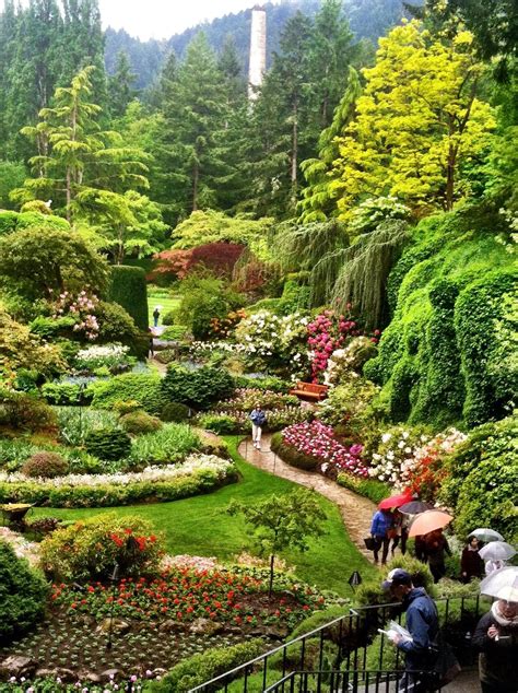 Victory gardens, also called war gardens and food gardens for defense, were planted on both public land and at private residences starting in world we have tips for planning for a children's victory garden. 7 Pics Butchart Gardens Victoria Canada And Description ...