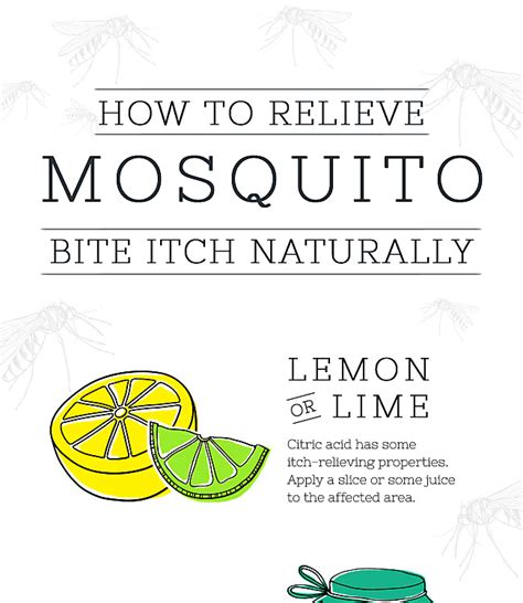 How To Relieve Mosquito Bite Itch Naturally