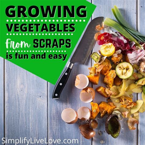 Growing Vegetables From Scraps Is Fun And Easy Simplify Live Love