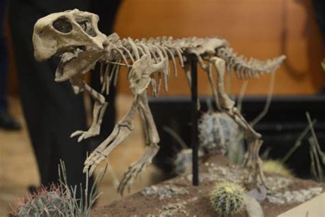 Nuevo Dinosaurio Impulsará Turismo En Coahuila Viajeros En Ruta