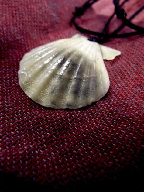 Seashell Pendant Scallop Shell Handmade Necklace Jewelry Beach Sea
