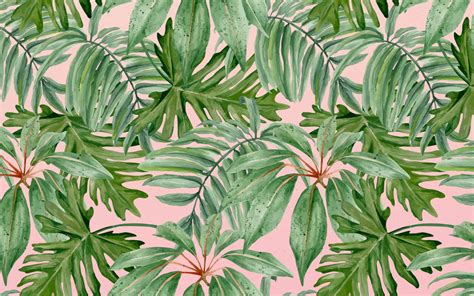 Tropical Leaves 4k Wallpapers Wallpaper Cave