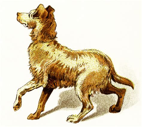 Free Vintage Image Golden Brown Dog Clip Art Old Design Shop Blog