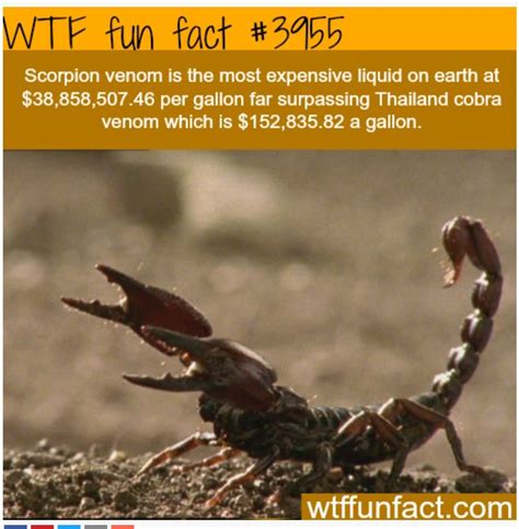 30 cool facts ideas facts fun facts weird facts kulturaupice