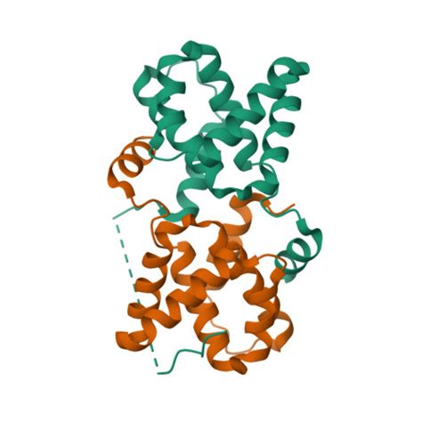 Rcsb Pdb Xiv Structural Insight Into The Interactions Between