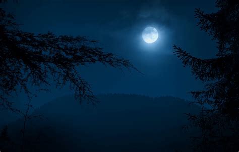 Wallpaper Forest The Sky Clouds Trees Night Nature The Moon The