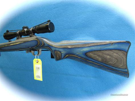 Ruger 1022 Blue Laminated Stock Wnikon 4x Sco For Sale