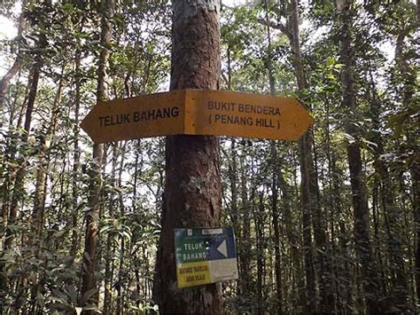 The penang botanic gardens (taman kebun bunga) is a pleasant place to escape the heat of the busy city and enjoy walks or just relax. Penang Hills and Trails - Another Stairway to Heaven