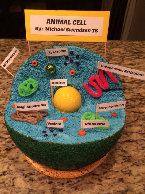 29 Best Incredible Edible Cell Project Ideas Cells Project Edible
