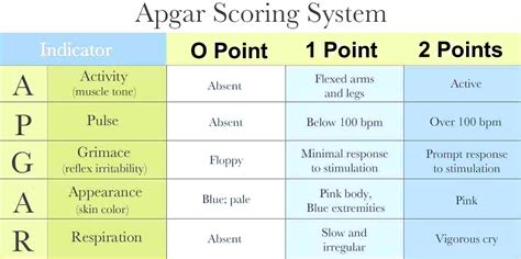 Printable Apgar Score Chart Printable World Holiday