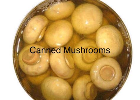 Button Mushroom Canning Process All Mushroom Info