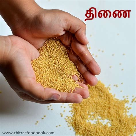 The best recipes with photos to choose an easy tamil recipe. Thinai Idli Recipe / Foxtail Millet Idli - Millet Recipes ...