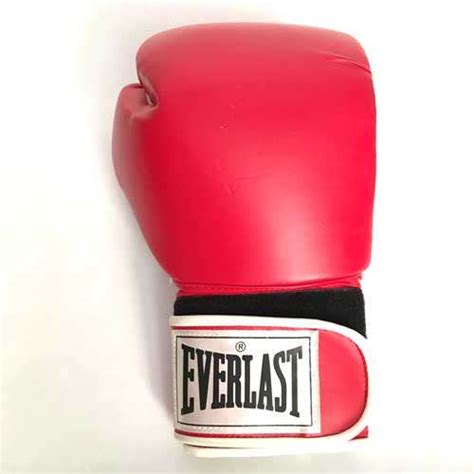 Pair Of 16 Ounce Everlast Pro Boxing Gloves Red