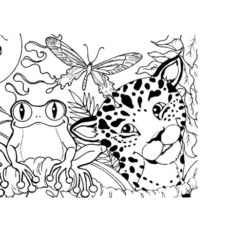 Rain Forest Coloring Pages Coloring Home