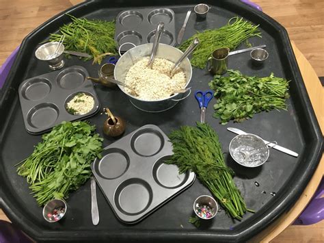 Herb Messy Play Eyfs Free Activity Plan Tuff Tray Ideas Toddlers