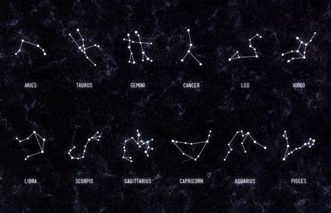 4-Designer | Twelve constellation vector