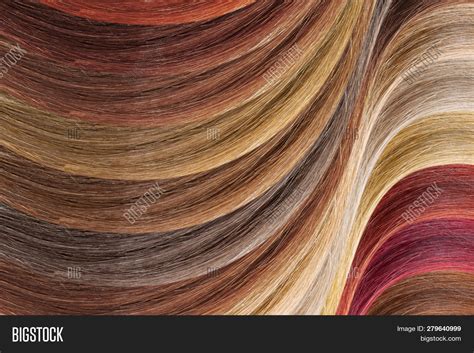 Hair Colors Palette Image And Photo Free Trial Bigstock