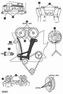 Timing Chain Kit Fits 97 Wiring Diagram