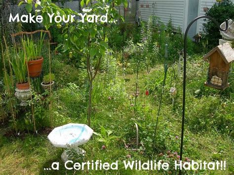 Make Your Yard And Garden A Certified Wildlife Habitat With The