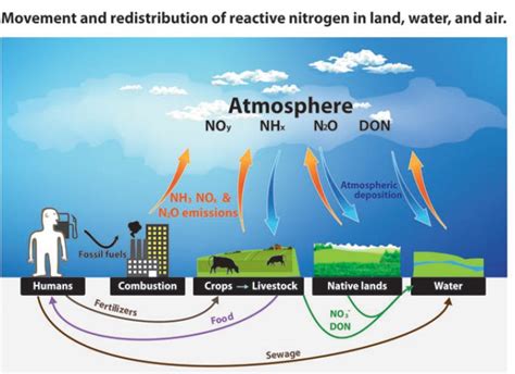 Recent Report From China Shows Alarming Increase In Nitrogen Pollution