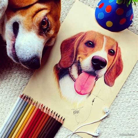 Dog Color Pencil Drawing By Santiago Velasquez