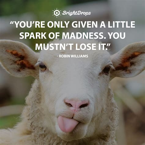 Funny And Relatable Inspirational Quotes To Celebrate Life