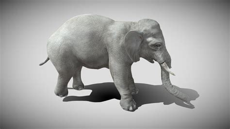 Elephant Buy Royalty Free 3D Model By Nakler SWork Nakler 256be45