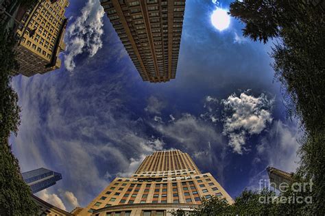 Worms Eye View Photograph By David Richardson