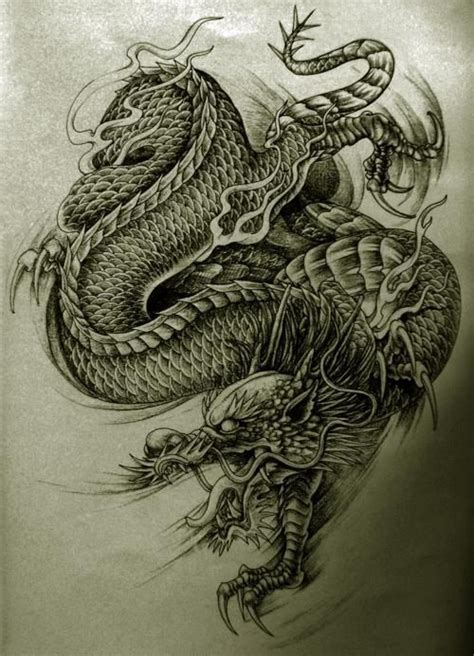Dragon Tattoo Styles Dragon Tattoo Drawing Tribal Dragon Tattoos
