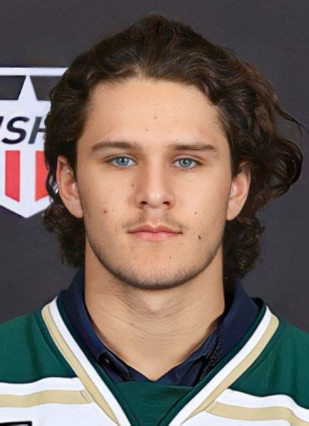 Dylan James Hockey Stats And Profile At