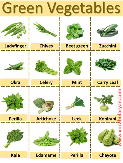 Green Vegetables Names With Pictures For Kids Vocabularyan