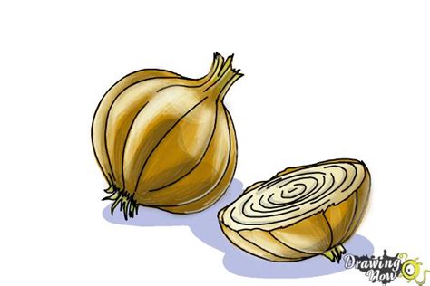 How To Draw An Onion Drawingnow