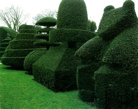 15 Ways To Trim A Hedge In Your Yard