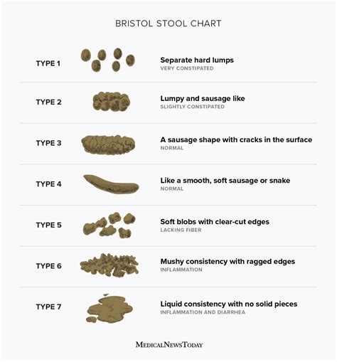 Types Of Poop Appearance Color And What Is Normal