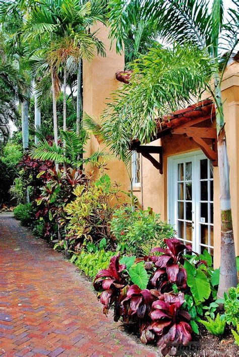 20 Exquisite Tropical Garden Ideas Queensland
