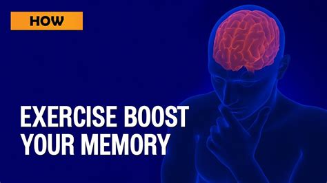 How Can Exercise Boost Your Memory Youtube