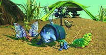 A Bug's Life Wallpapers - Top Free A Bug's Life Backgrounds ...