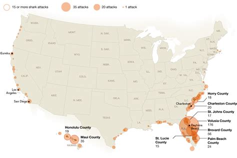 Location Of Shark Attacks In The Us Vivid Maps