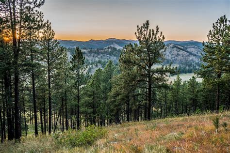 Wind Cave National Park In South Dakota We Love To Explore