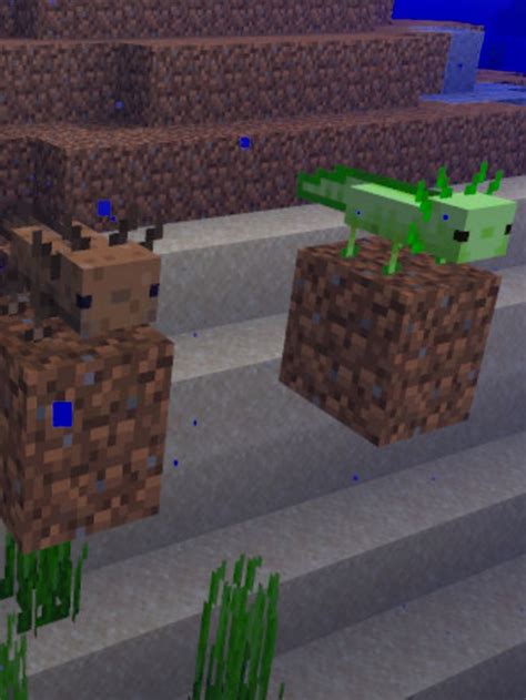 The Mysterious Axolotl Of Minecraft Mudfooted