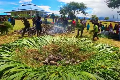 Tradisi Unik Yang Hanya Ada Di Papua Masyarakatnya Bakar Batu Untuk