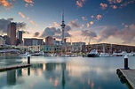 The Complete Business Travellers' Guide to Auckland | Travel Insider