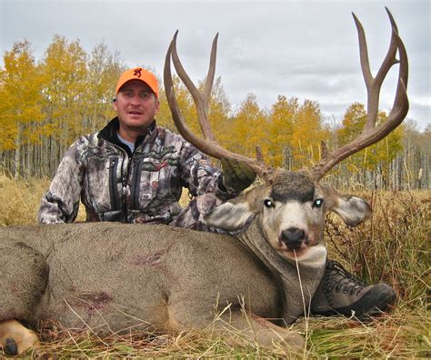 Go diy mule deer hunting with ike and mike eastman. 5-Tips for Setting up a DIY Trophy Hunt - Eastmans' Official Blog | Mule Deer, Antelope, Elk ...