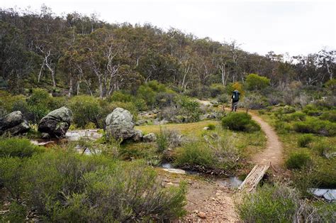 Bibbulmun Track Wa Waalegh To Perth Hills Discovery Centre ~ The