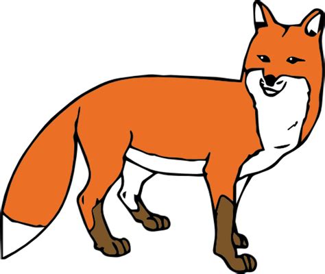 Download High Quality Fox Clipart Standing Transparent Png Images Art