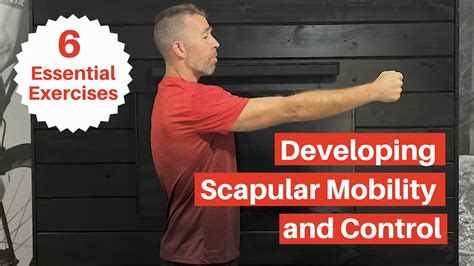 Exercises Progressions For Scapular Control My Rehab Connection