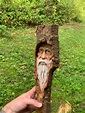 Wood Carving, Wizard, Hand Carved Wood Art, by Josh Carte, Made in Ohio ...