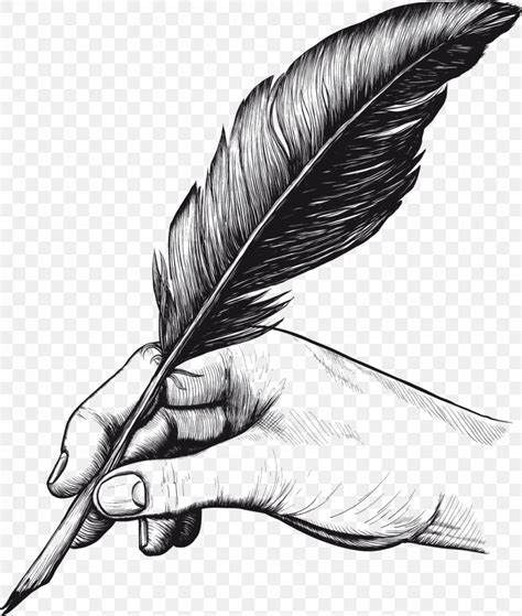 Quill Pens Feather Drawing Clip Art Png 1041x1229px Quill Ballpoint