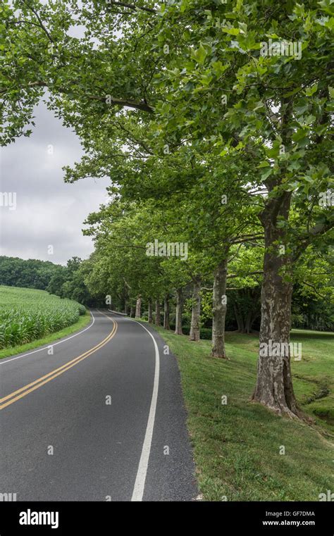 Tree Lined Hi Res Stock Photography And Images Alamy